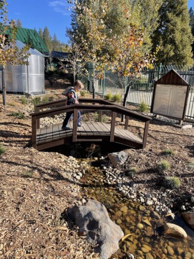 Eproson Park - Twain Harte, CA