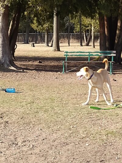 Zander Park - Two Rivers, WI