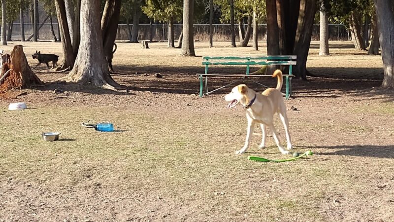 Zander Park - Two Rivers, WI