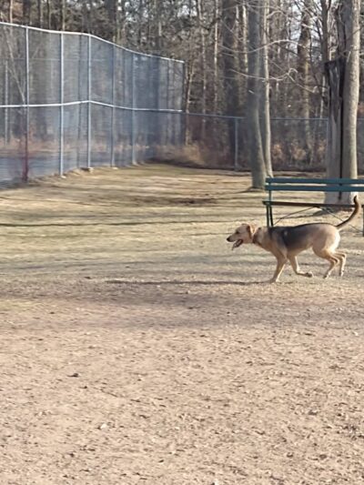 Zander Park - Two Rivers, WI