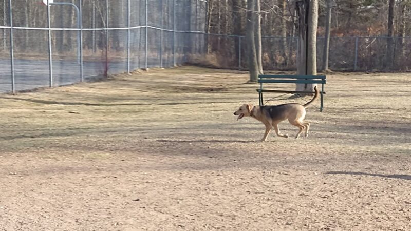 Zander Park - Two Rivers, WI