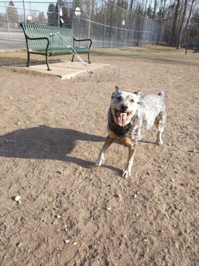 Zander Park - Two Rivers, WI