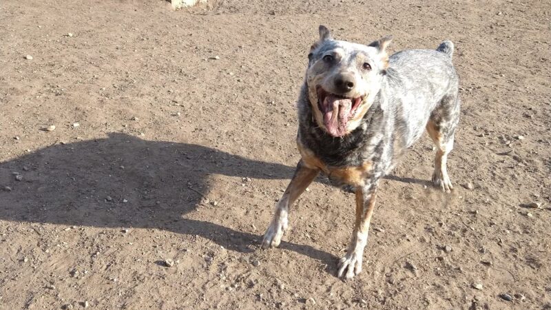 Zander Park - Two Rivers, WI