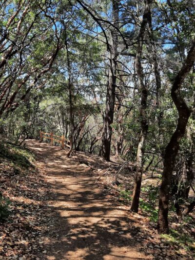 City View Trail - Ukiah, CA