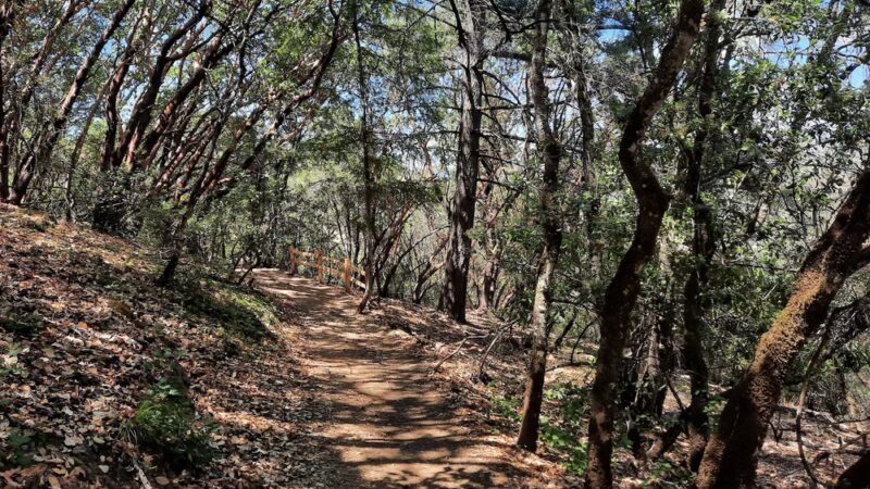 City View Trail - Ukiah, CA