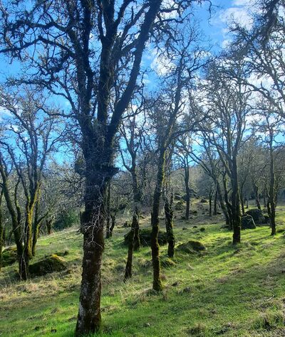 City View Trail - Ukiah, CA
