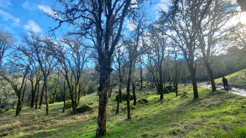 City View Trail - Ukiah, CA