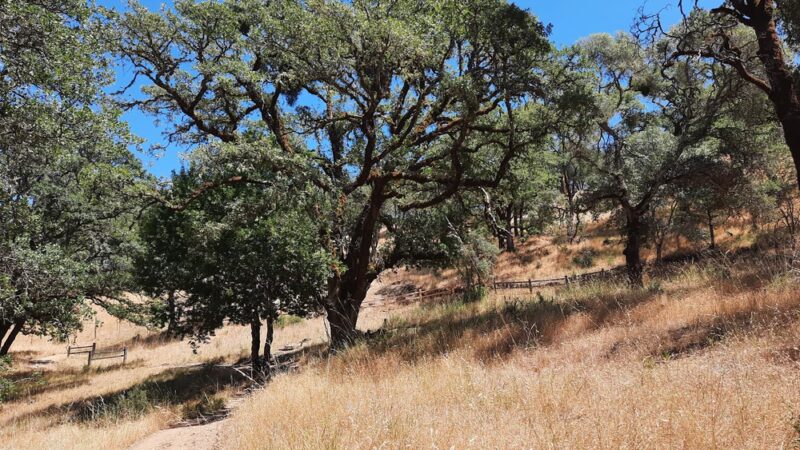 City View Trail - Ukiah, CA