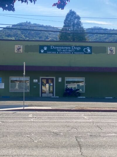 Downtown Dogs - Ukiah, CA