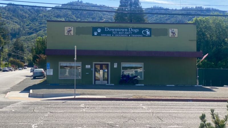 Downtown Dogs - Ukiah, CA