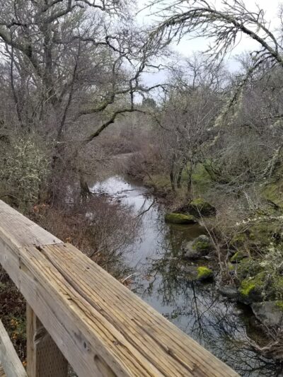 Low Gap Park - Ukiah, CA