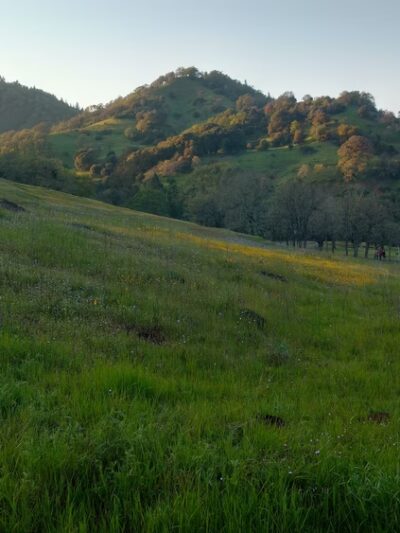 Low Gap Park - Ukiah, CA
