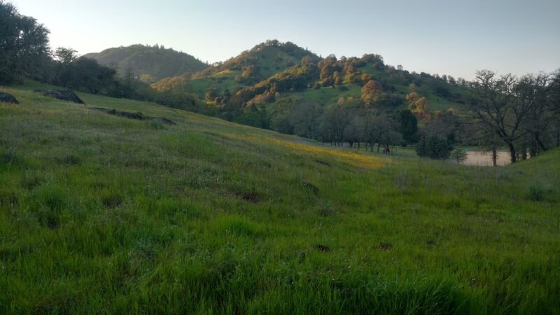 Low Gap Park - Ukiah, CA