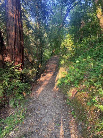 Low Gap Park - Ukiah, CA