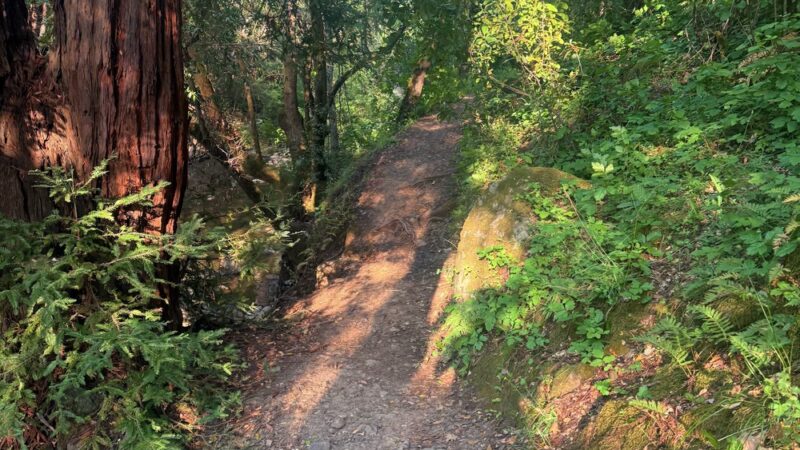 Low Gap Park - Ukiah, CA