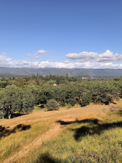 Low Gap Park - Fit Trail - Ukiah, CA