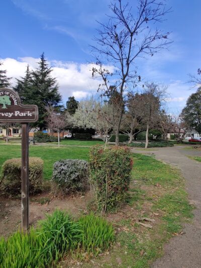 McGarvey Park - Ukiah, CA