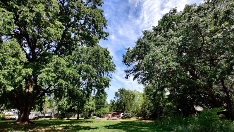 Observatory Park - Ukiah, CA