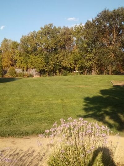 Orchard Park - Ukiah, CA