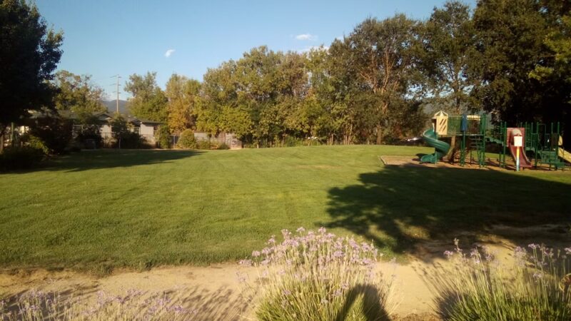 Orchard Park - Ukiah, CA