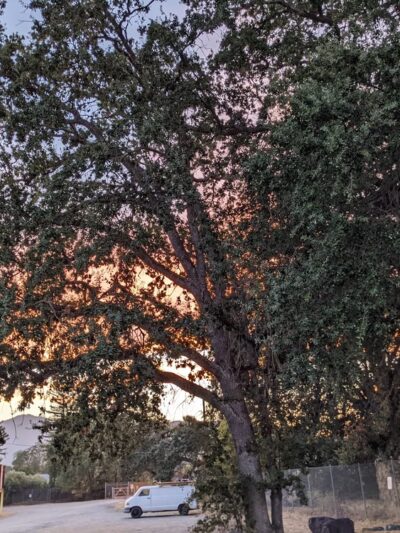 Riverside Park - Ukiah, CA