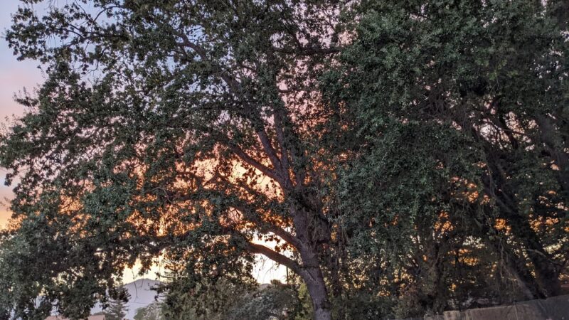 Riverside Park - Ukiah, CA