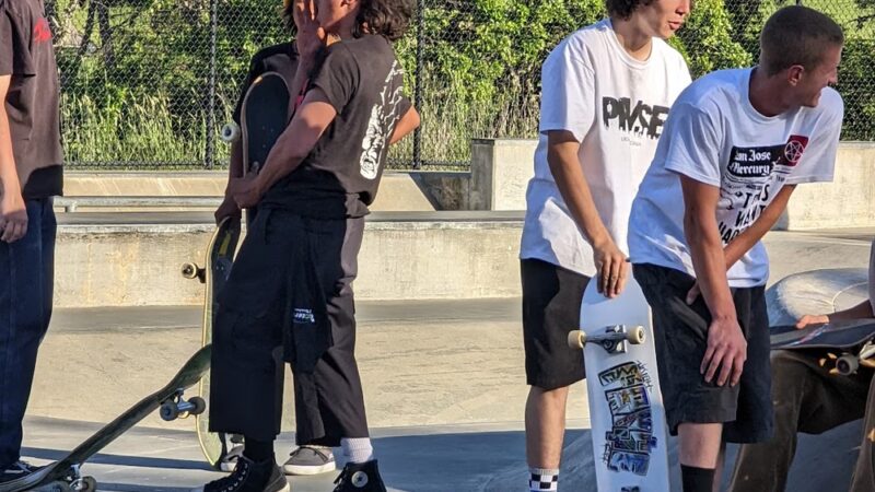 Ukiah Skate Park - Ukiah, CA