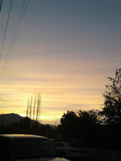 Vinewood Park - Ukiah, CA