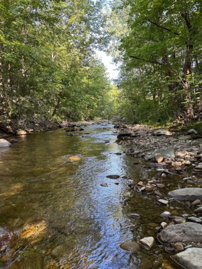 Moore Park - Underhill, VT