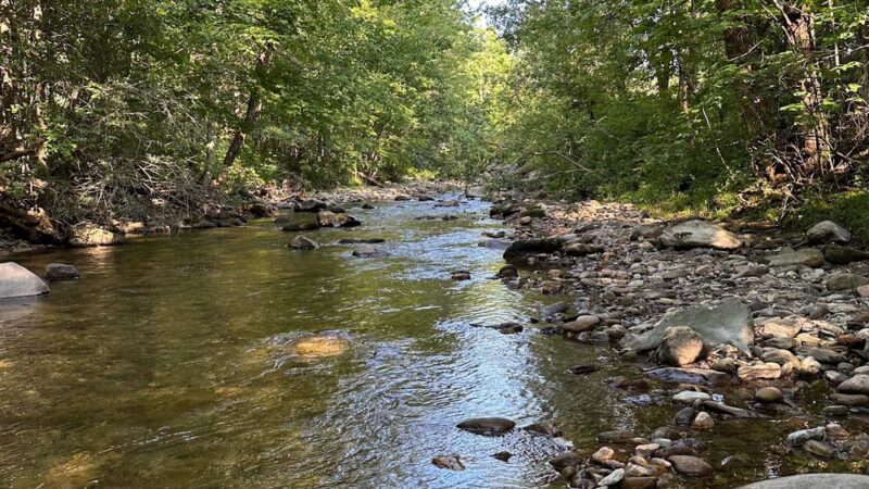 Moore Park - Underhill, VT