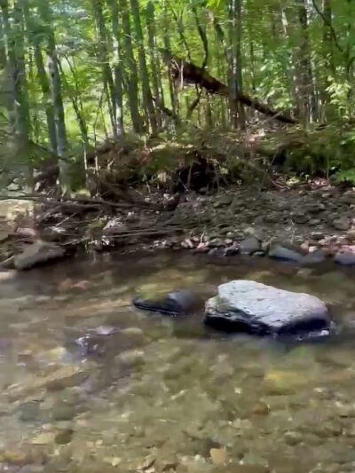 Moore Park - Underhill, VT
