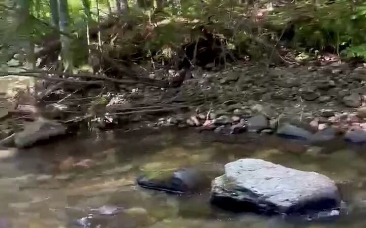 Moore Park - Underhill, VT