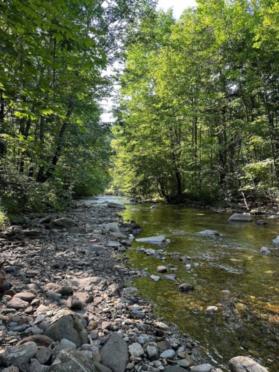 Moore Park - Underhill, VT