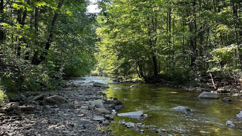 Moore Park - Underhill, VT
