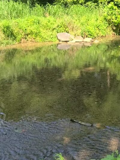 Little Pipe Creek Park - Union Bridge, MD