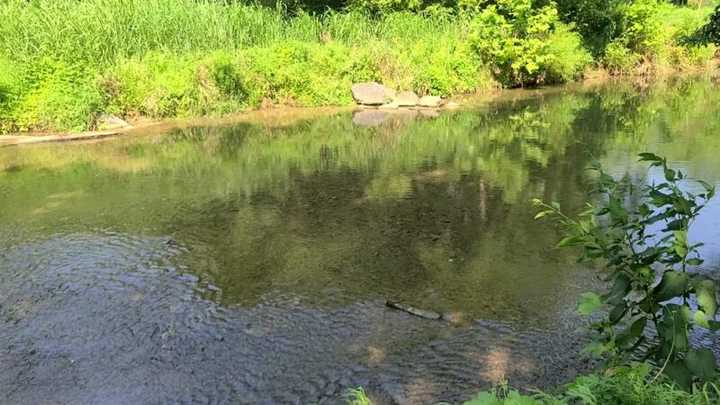 Little Pipe Creek Park - Union Bridge, MD
