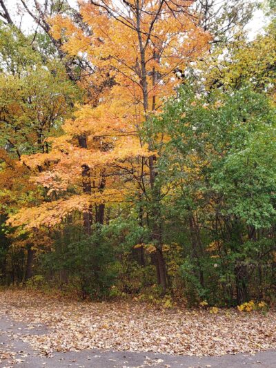 Evans Park - Union Grove, WI