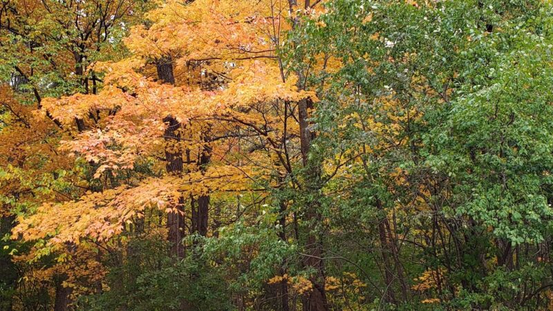 Evans Park - Union Grove, WI