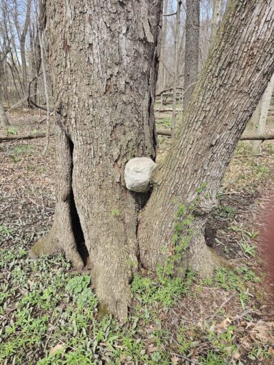 Evans Park - Union Grove, WI