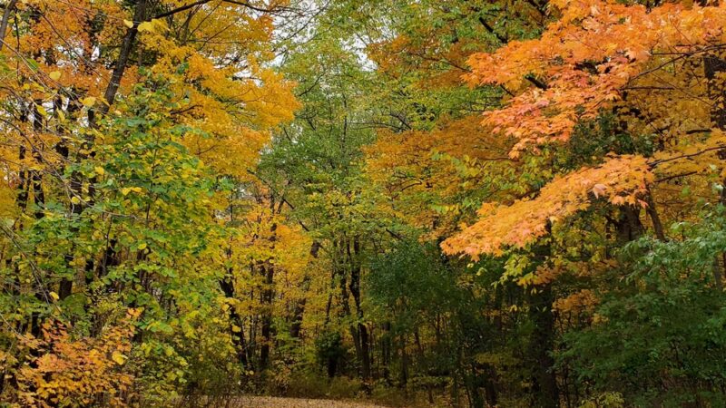 Evans Park - Union Grove, WI