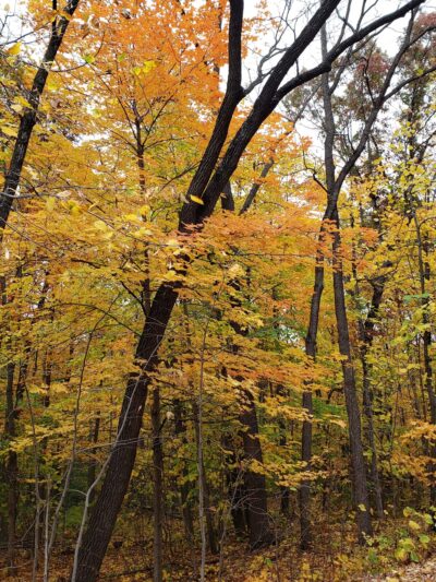 Evans Park - Union Grove, WI