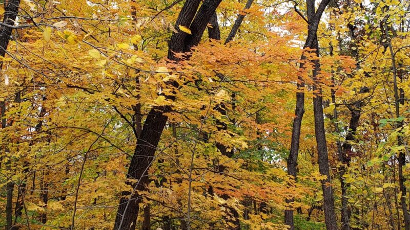 Evans Park - Union Grove, WI