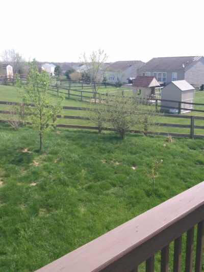 Orleans Park - Union, KY