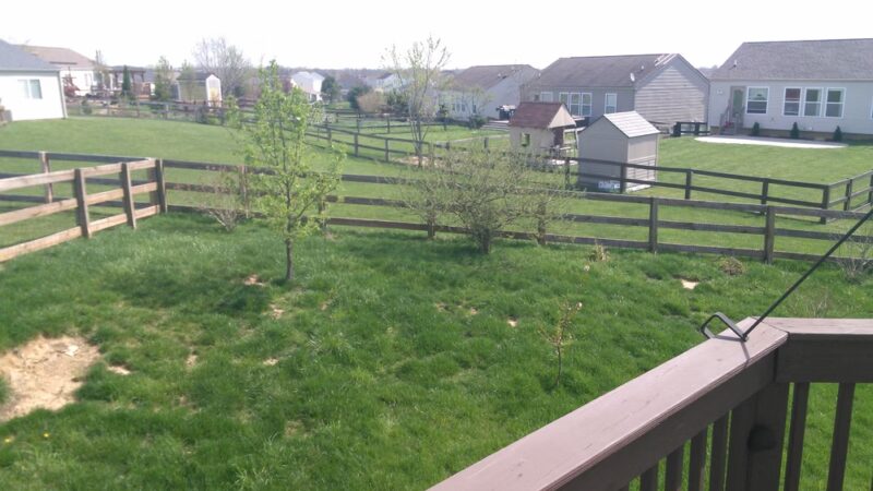 Orleans Park - Union, KY