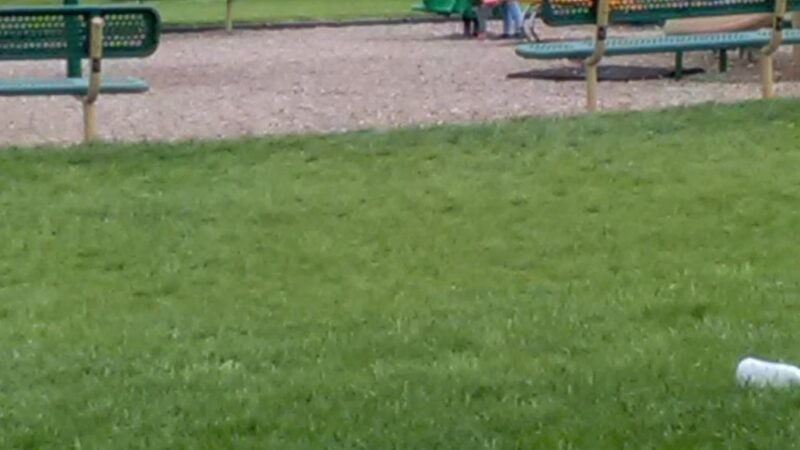 Winners Circle Park - Union, KY