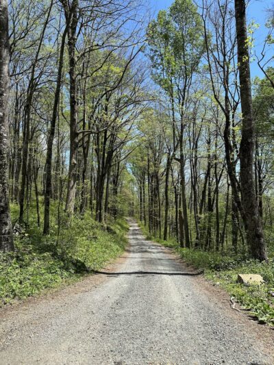Buffalo Mountain Peak Trailhead Parking - Union, VA