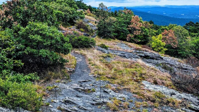 Buffalo Mountain Peak Trailhead Parking - Union, VA