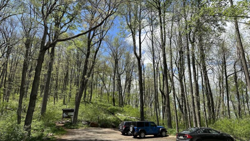 Buffalo Mountain Peak Trailhead Parking - Union, VA