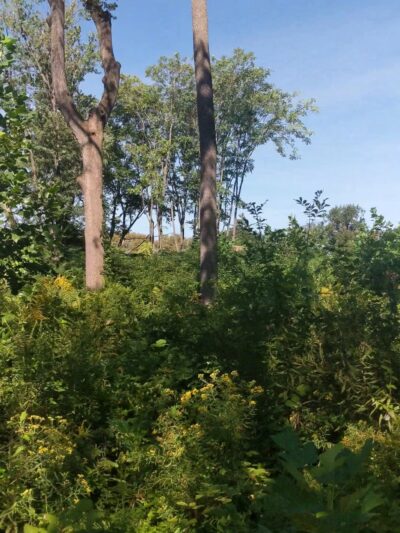 Upland Park - Upland, PA