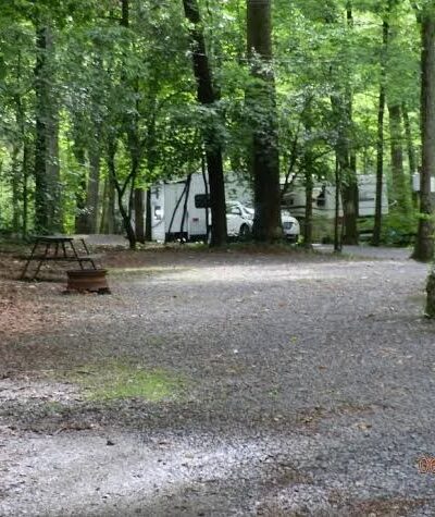Colonial Woods Family Camping Resort - Upper Black Eddy, PA